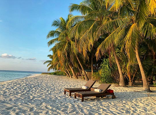 PHOTO PRESENTATION 1