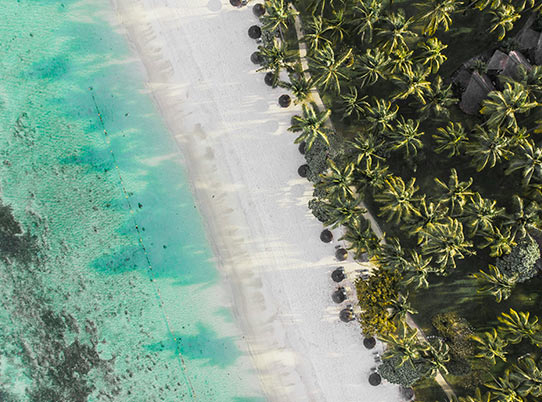 PHOTO PRESENTATION 4